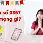 dau so 0357 la mang gi