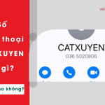 so dien thoai catxuyen