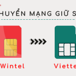 chuyen mang giu so wintel sang viettel