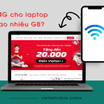 phat 4g cho laptop ton bao nhieu gb