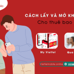 mo khoa puk sim viettel